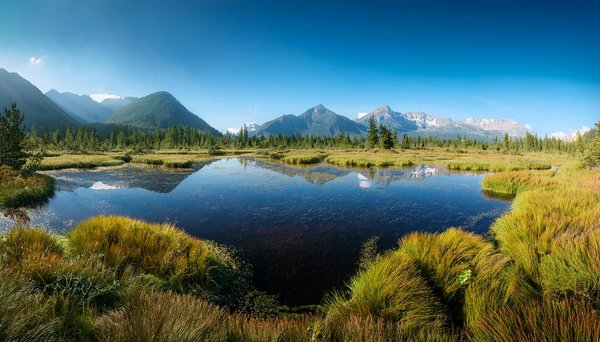 Où apprendre les techniques de la cuisine marocaine à Marrakech : ateliers et chefs recommandés ?