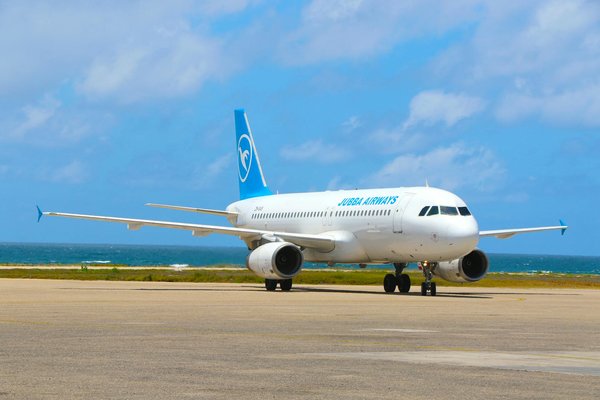 Comment planifier une visite des jardins traditionnels japonais à Kyoto?